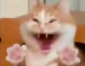 白