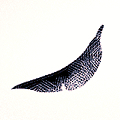 aoharuto