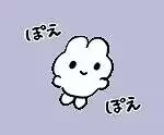 水川　綿