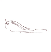 どいあ