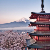 朝日子