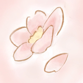 琴理
