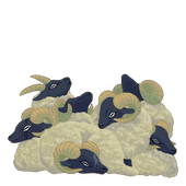 紫丁香花