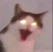 クリ9ヤシ