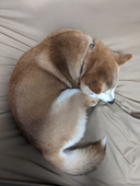 水無瀬秋