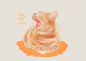 milktea
