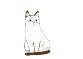 Flyingcat