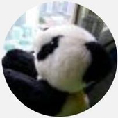 tntpanda