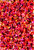 eee4