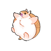 木卯
