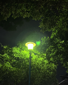 想真