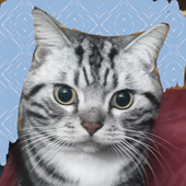 猫プリン