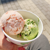 とうか