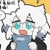 都可以