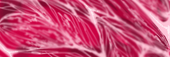 馨