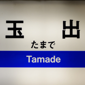 はくまいけえすさん