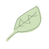 ninimint