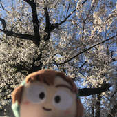 ˙˚ʚ ぽっぽ ɞ˚˙