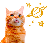 中田める