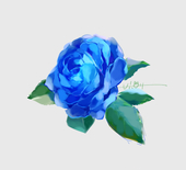 rosa/saji