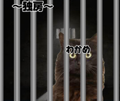 わかめ