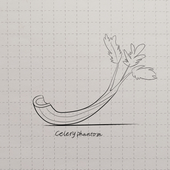CeleryPhantom
