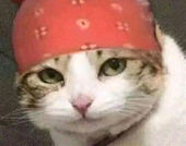 莫冥志