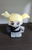 まさみ