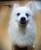 Ryvi
