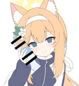 小猫爱