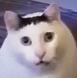 MOKSyndrome
