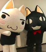 とま