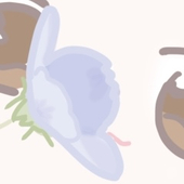 さんち