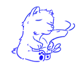Shrimpy