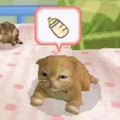 maofan猫飯
