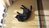 かなや