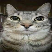 Milkrucat