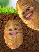 いももこまち