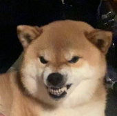 和音