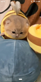 るい（不定期投稿）