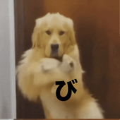 びれまる
