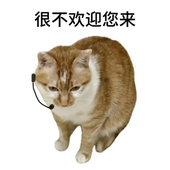 二月霜霜子