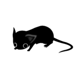 Hamster