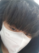 鱼