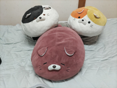 so-カント