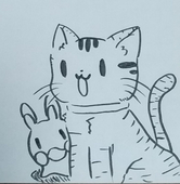 白井ふぶき