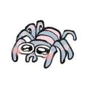 ささがに