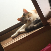 物体