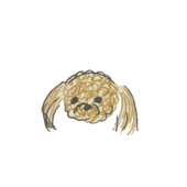 †叶愛†