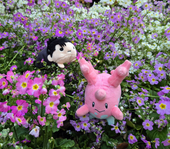 CoraltheCorsola